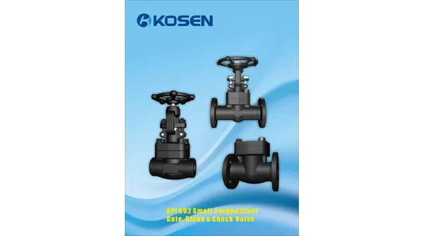 API 602 Valve | Kosen