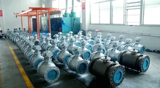 Valve Visual Inspection