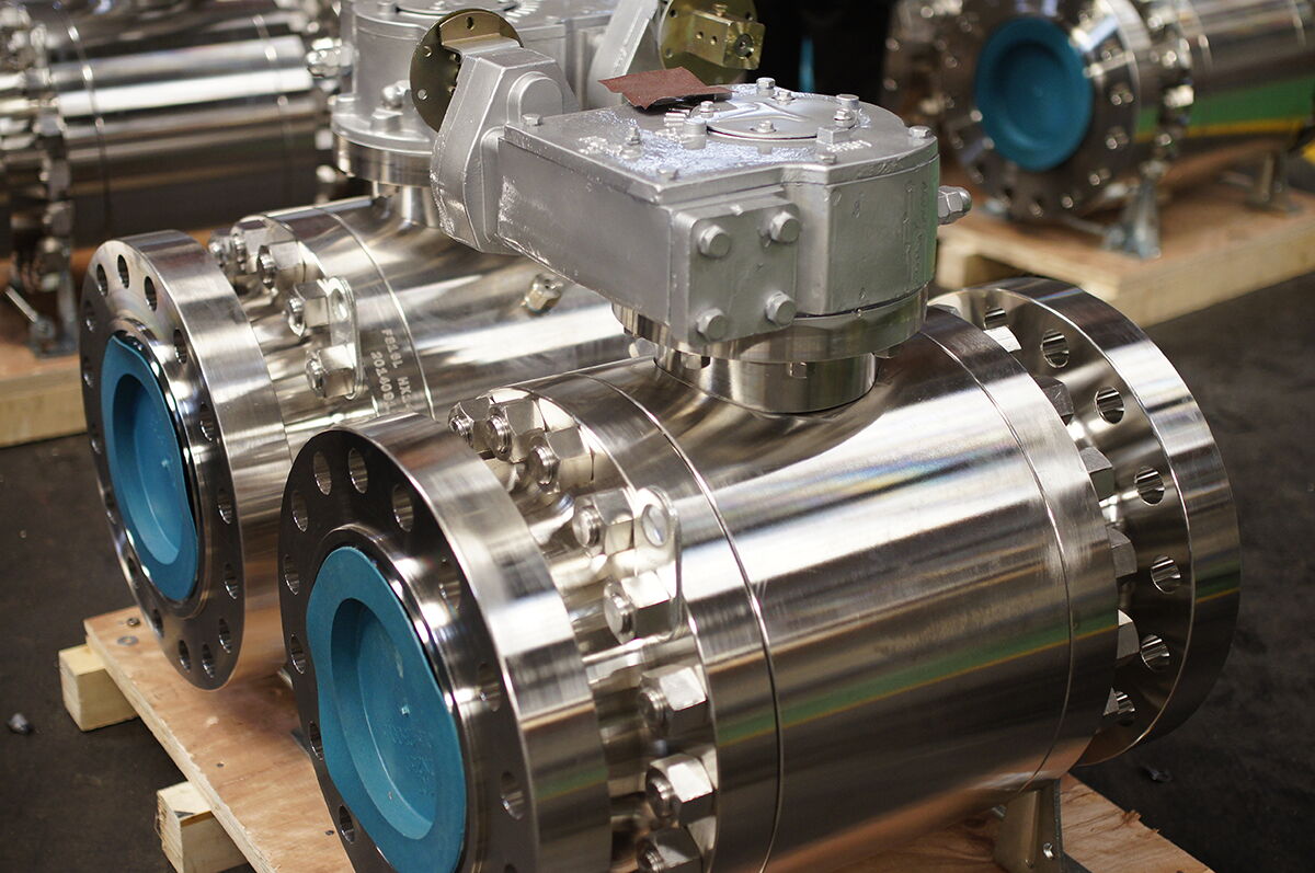 SS Ball Valves in Package