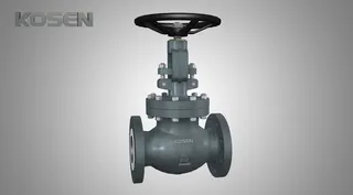 CAST GLOBE VALVE