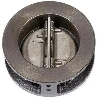 Dual Plate Wafer Check Valve