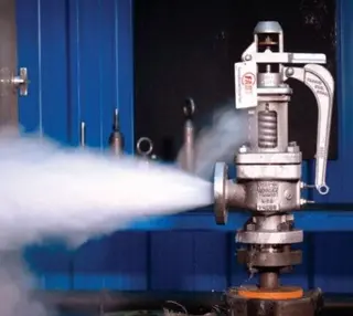 Safety Valve Leakage: Causes, Detection & Solutions