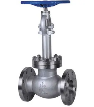 Cryogenic Globe Valve