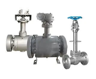 Cryogenic Valves: Technical Challenges and Sealing Keys