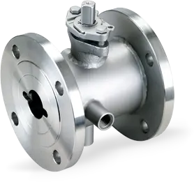 Steam Jacketed Valve Body