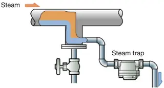 Steam Trap Installation