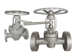 Lift Plug Valves: Structure, Types and Features