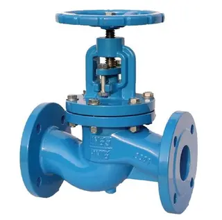 Globe Valve