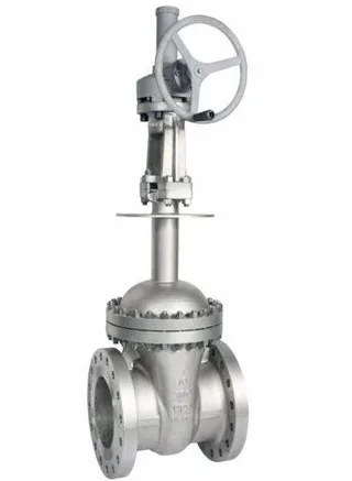Cryogenic Gate Valve