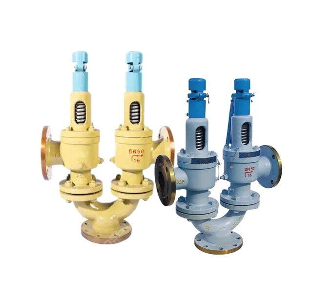 What is a Duplex Spring Safety Valve?