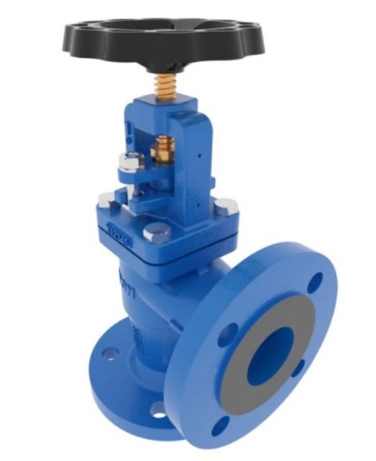 Angle Globe Valve