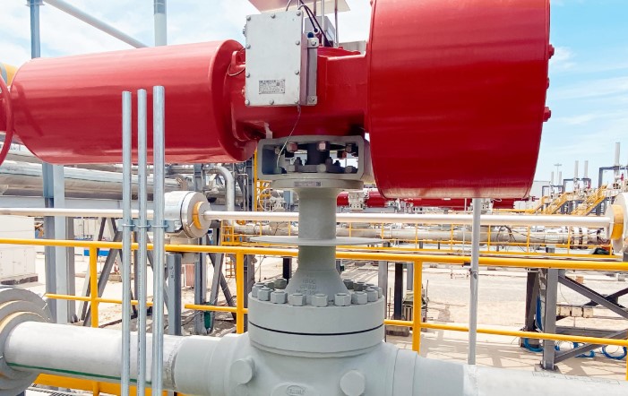 Complete Installation Guide for Low-Temperature Valves