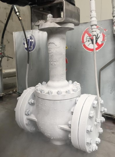 Cryogenic Valve with Extended Bonnet Cryogenic Valve with Extended Bonnet