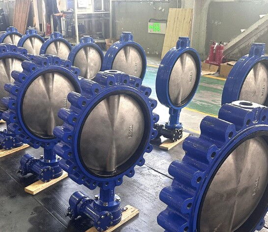 Guide to Soft Seal Butterfly Valves