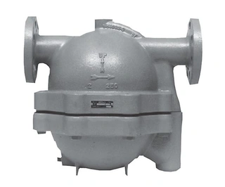 Steam Trap