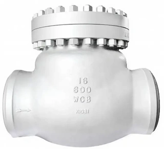 Swing Check Valve