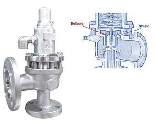 A Complete Guide to Balanced Bellows Safety Valve