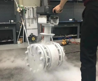 Low-Temperature Valve