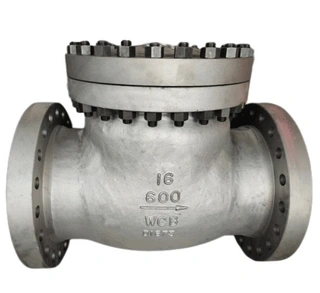 Swing Check Valve