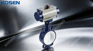 Ceramic Butterfly Valves for Severe Service