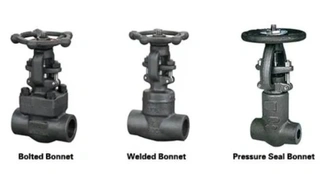 DIN Globe Valve Bonnet Types