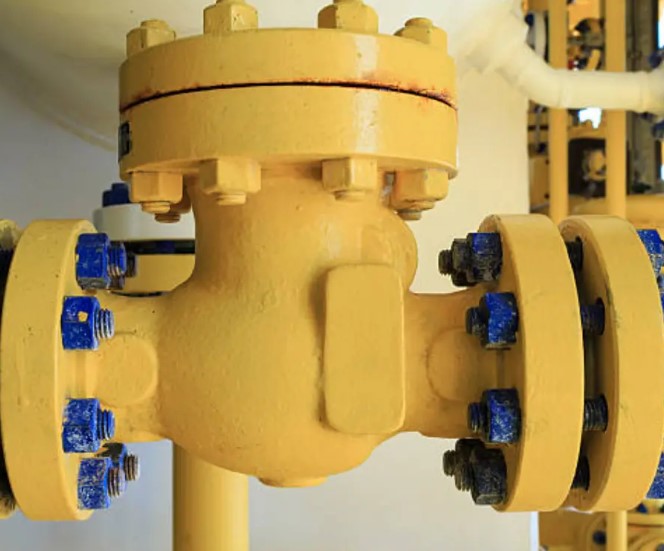 Swing Check Valve: Structure, Principle & Application