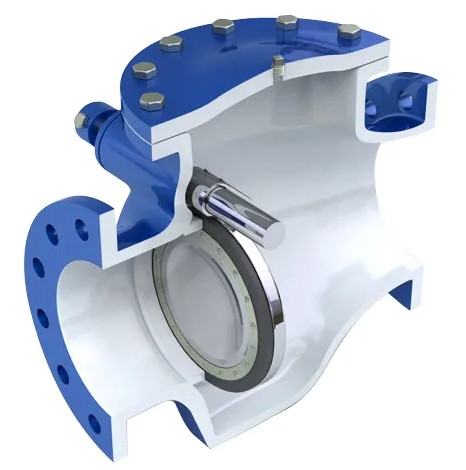 Swing Check Valve Structure