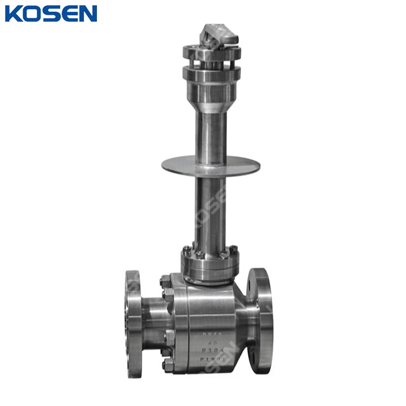 Extended Stem Ball Valve, BS 5351, A182 F304, DN50, PN40, RF
