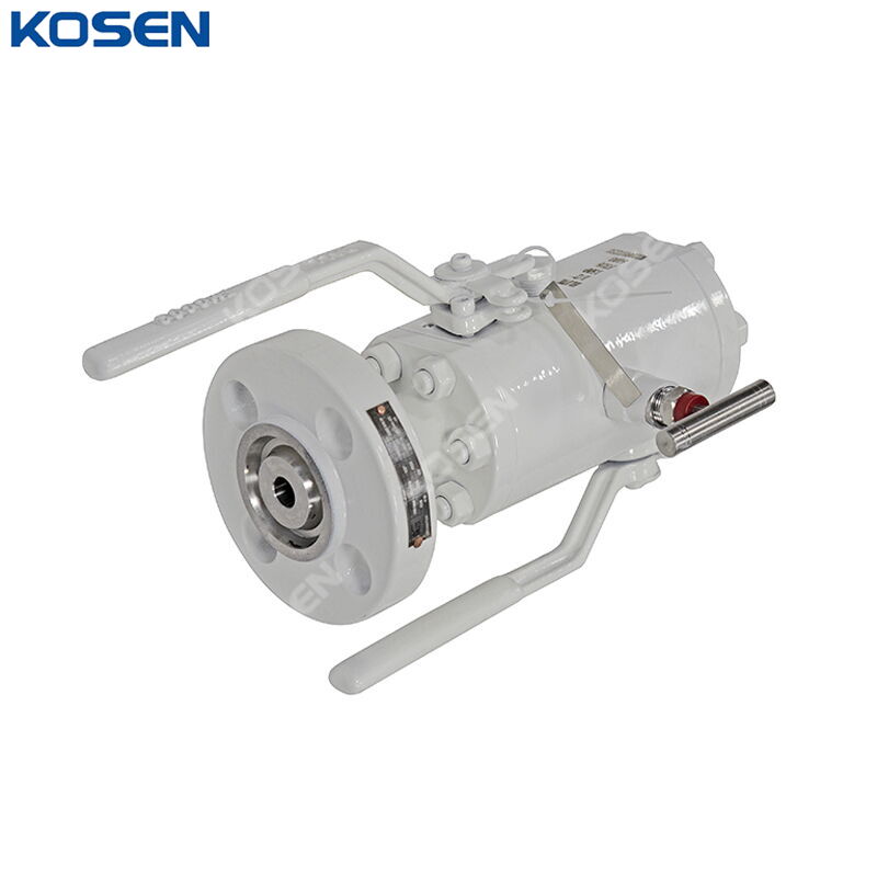 API 6D DBB Ball Valve, 1 IN, 1500 LB, RTJ x FNPT, Customized
