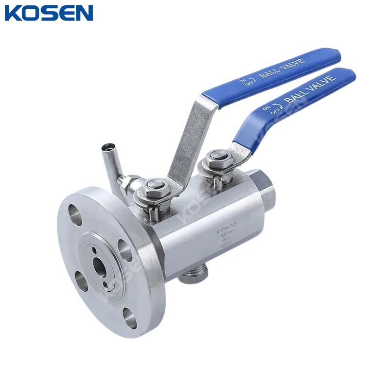 ASTM A182 F316L DBB Ball Valve, API 6D, RF*FNPT, Customized
