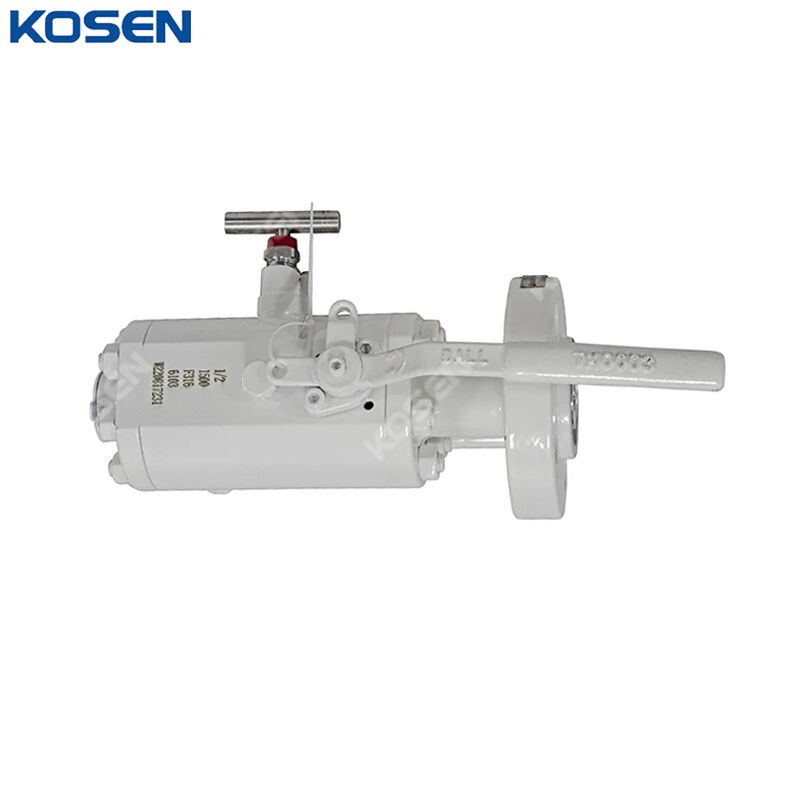 One Piece DBB Ball Valve, API 6D, A182 F316, 1/2 IN, 1500 LB