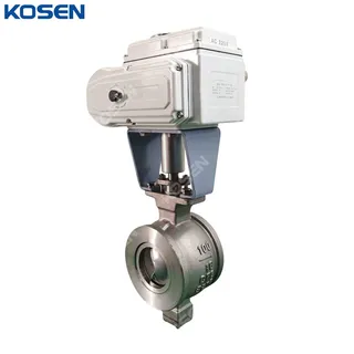 V Port Segment Ball Valve, A351 CF8, DN100, PN16, Electric