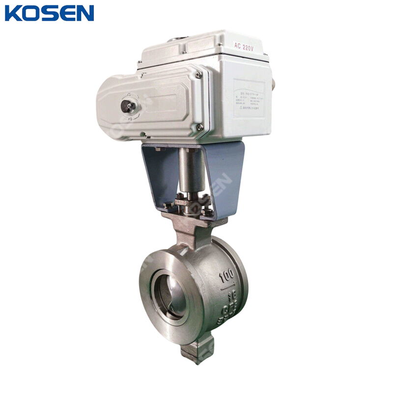 V Port Segment Ball Valve, A351 CF8, DN100, PN16, Electric