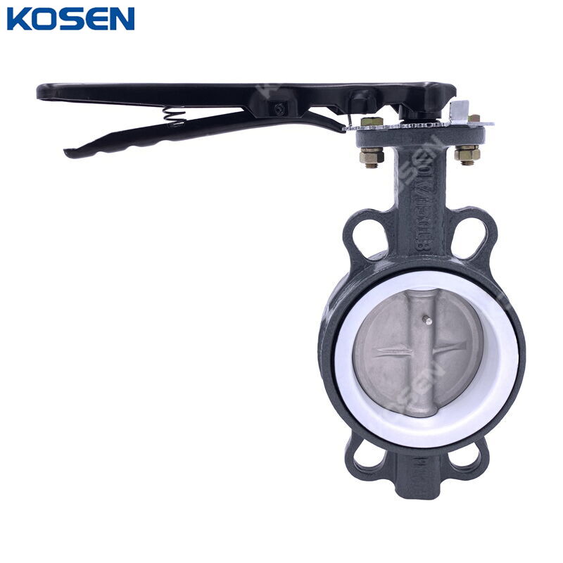 PTFE Sealed Butterfly Valve, API 609, A216 WCB, 4 IN, 150 LB