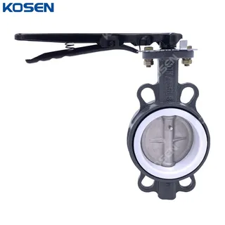 PTFE Sealed Butterfly Valve, API 609, A216 WCB, 4 IN, 150 LB