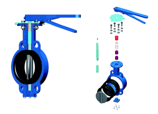 Centerline Type Butterfly Valve