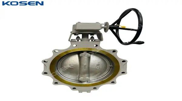 Double Offset Lug Butterfly Valves, A216 WCB, 20 Inch, CL150 | Kosen