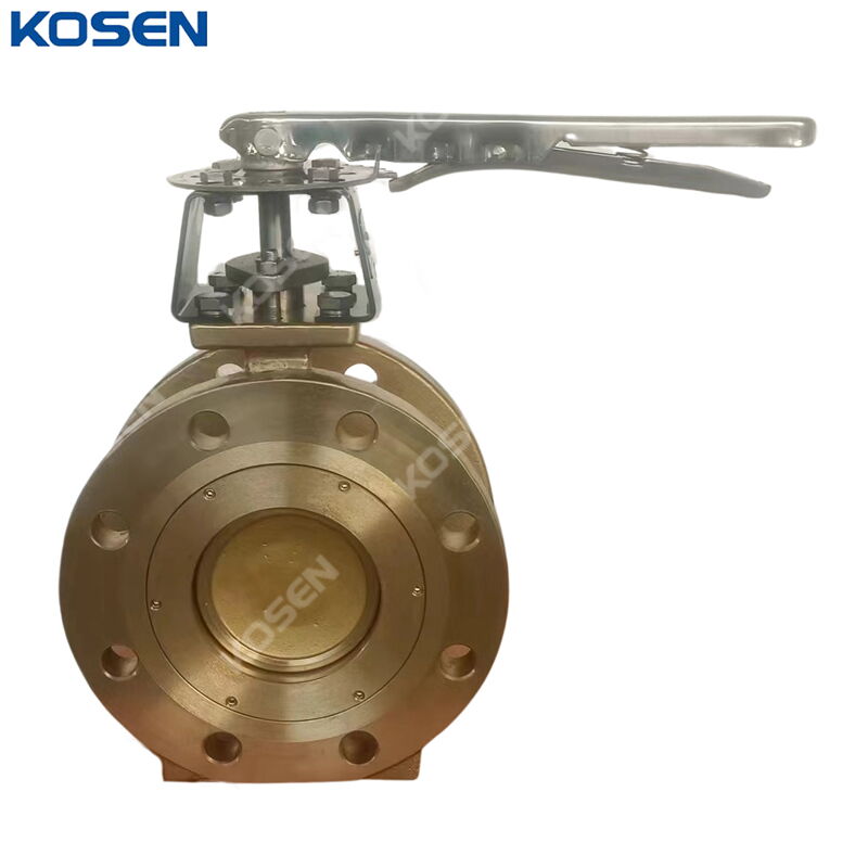 API 609 Category B Butterfly Valves, B148 C95800, 6 Inch, RF