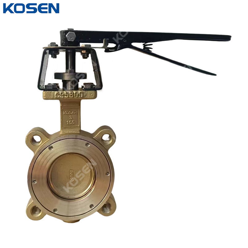 ASTM B148 C95800 Butterfly Valve, API 609 CAT B, 3 IN, CL150