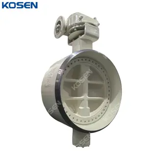 ASTM A105 Butterfly Valves, DN800, PN25, Triple Offset, BW