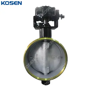 API 609 Triple Offset Butterfly Valves, WCB, DN800, PN25, BW