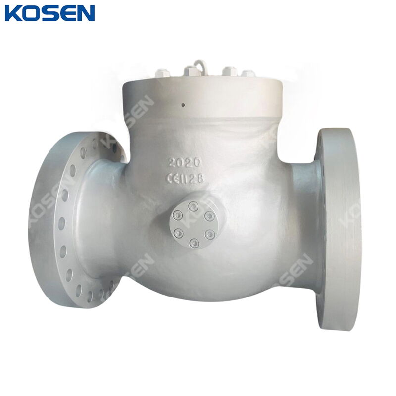 ASTM A216 WCB PSB Check Valve, BS 1868, API 6D, RTJ, Custom
