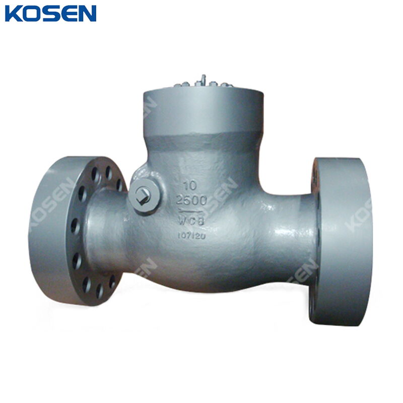 Pressure Seal Bonnet Check Valve, A216 WCB, 10 Inch, CL2500