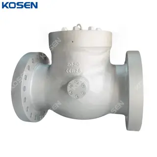 ASTM A216 WCB PSB Check Valve, BS 1868, API 6D, RTJ, Custom