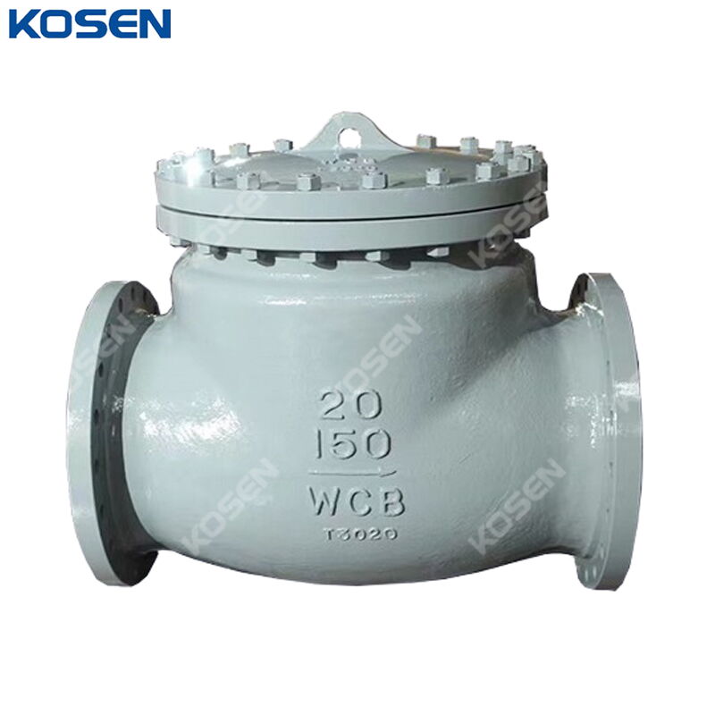 20 Inch Swing Check Valve, BS 1868, ASTM A216 WCB, CL150, RF