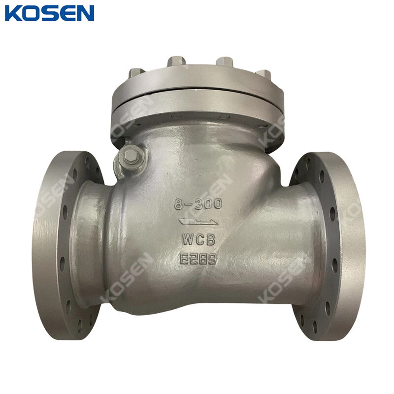 API 6D Swing Check Valves, A216 WCB, 8 IN, CL300 LB, BB, RF