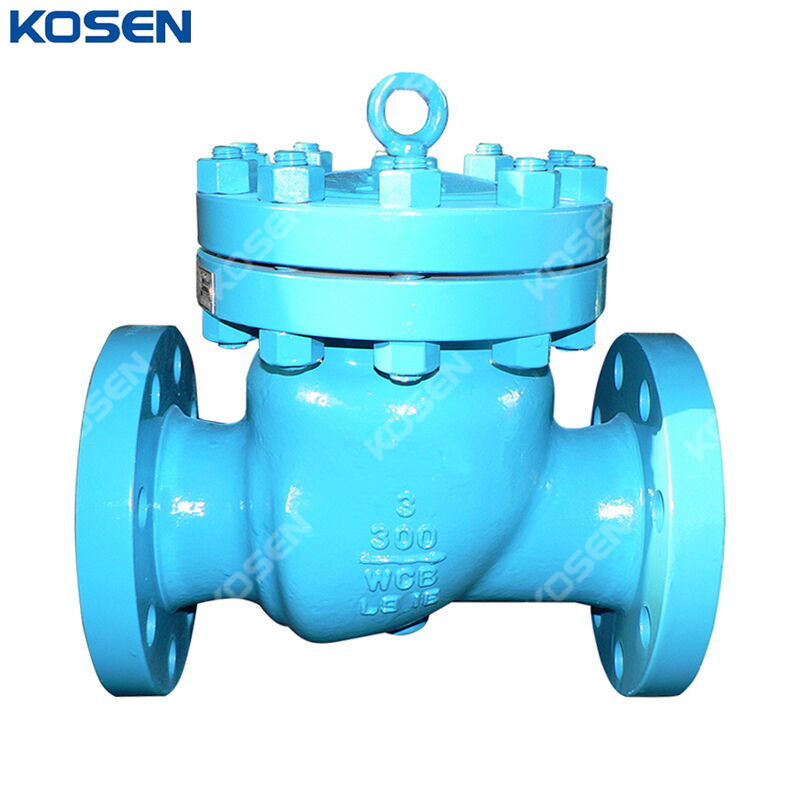 ASTM A216 WCB Swing Check Valve, API 6D, 3 IN, CL300, RF