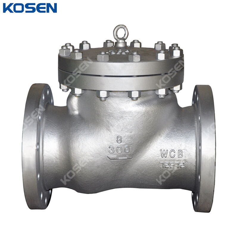 ASTM A216 WCB Swing Check Valves, API 6D, 8 Inch, CL300, RF