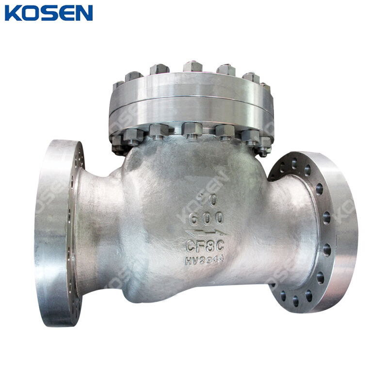 ASTM A351 CF8C Swing Check Valve, API 6D, 10 Inch, CL600, RF