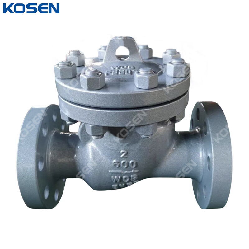 Carbon Steel Swing Check Valve, API 6D, WCB, 2 IN, CL600, RF
